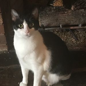 Meet your Posher, Christy